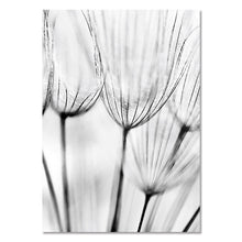 Load image into Gallery viewer, Black and White Dandelion Wall Art Canvas Prints
