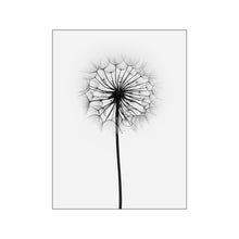 Load image into Gallery viewer, Romantic Black and White Abstract Wall Art
