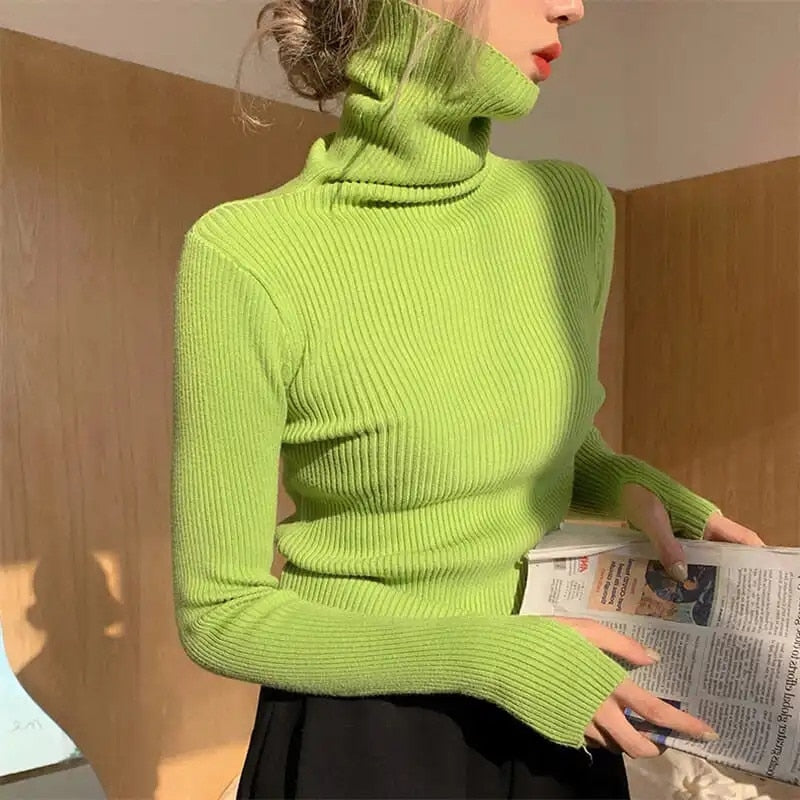 Sandra Ribbed Turtleneck Sweater