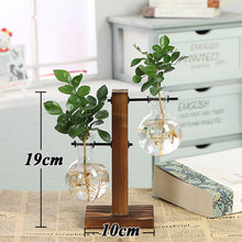 Load image into Gallery viewer, Hydroponic Wooden Frame Plant Terrariums
