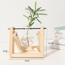 Load image into Gallery viewer, Hydroponic Wooden Frame Plant Terrariums
